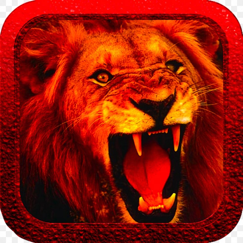 White Lion Desktop Wallpaper Anger Roar, PNG, 1024x1024px, Lion, Anger, Big Cats, Carnivoran, Cat Like Mammal Download Free