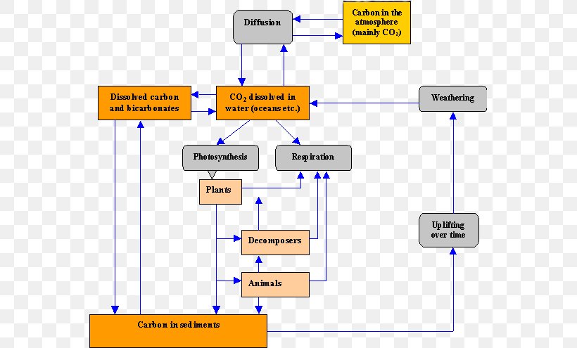 Carbon Cycle Diagram Energy Flow Autotroph Heterotroph, PNG, 565x495px, Carbon Cycle, Aquatic Ecosystem, Area, Autotroph, Biogeochemical Cycle Download Free