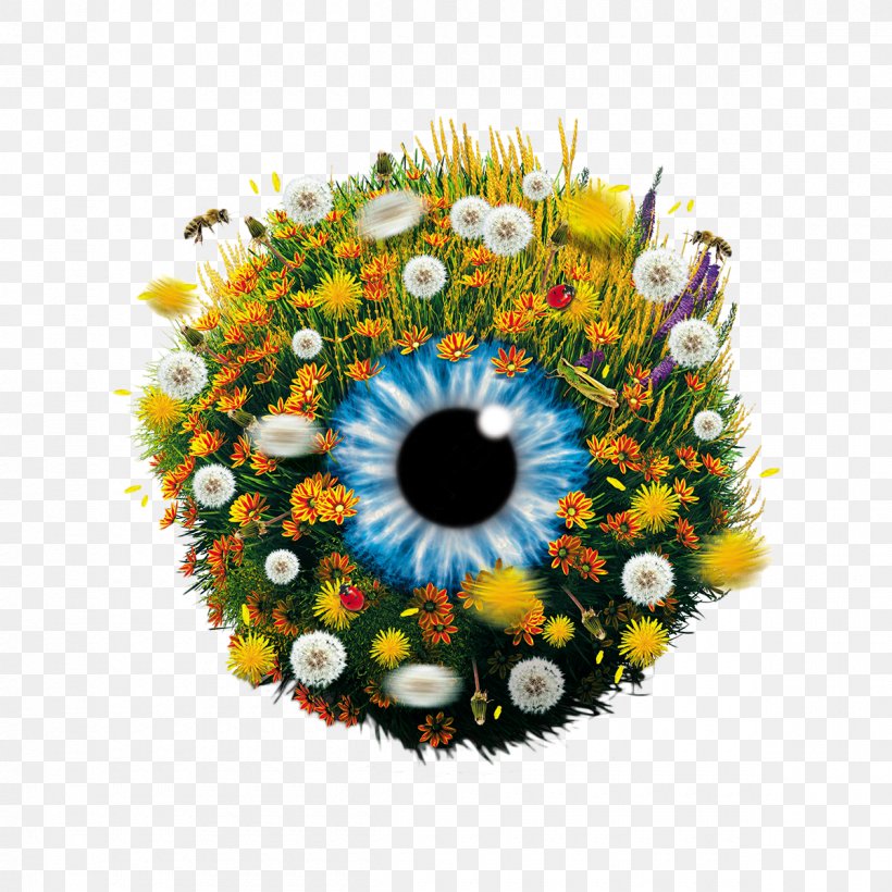 Dry Eye Syndrome Cataract Visual Perception Amblyopia, PNG, 1200x1200px, Eye, Amblyopia, Astigmatism, Cataract, Color Download Free