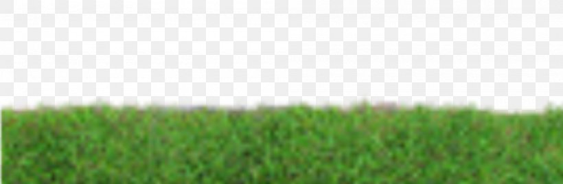 Grass Lawn Photography, PNG, 2000x655px, Grass, Agriculture, Commodity, Crop, Field Download Free