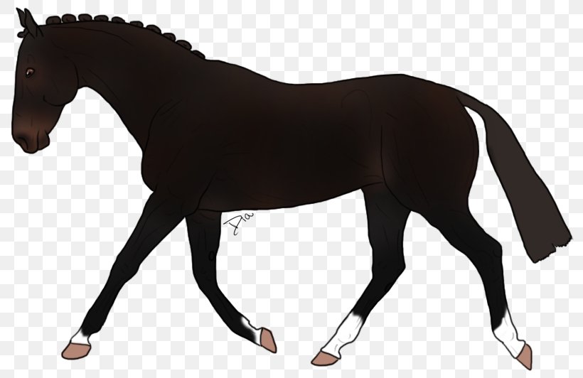 Mustang Stallion Appaloosa Mare Rein, PNG, 800x532px, Mustang, Animal Figure, Appaloosa, Bit, Bridle Download Free