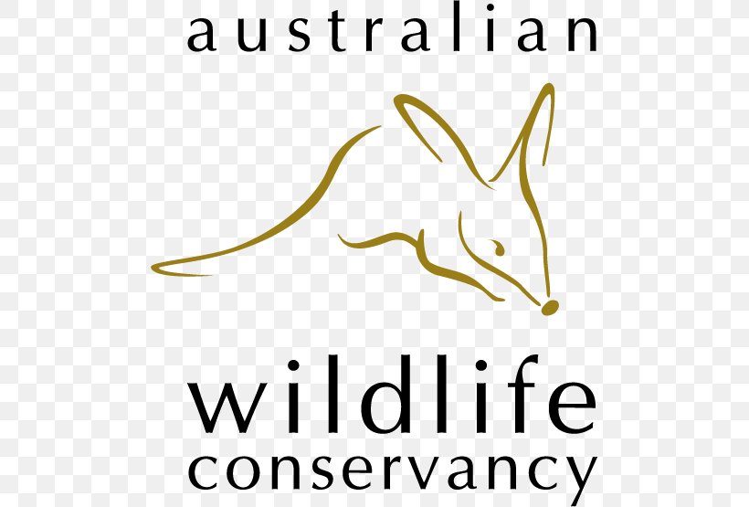 Australian Wildlife Conservancy Scotia Sanctuary Koala, PNG, 489x555px, Australia, Area, Australian Wildlife Conservancy, Beak, Birdwatching Download Free
