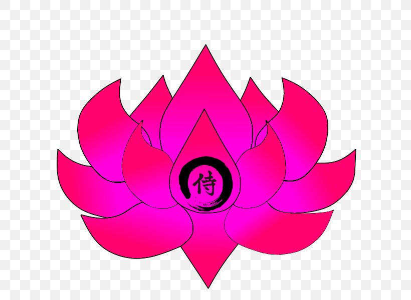 Petal Pink M Leaf Flowering Plant Clip Art, PNG, 800x600px, Petal, Flower, Flowering Plant, Leaf, Magenta Download Free
