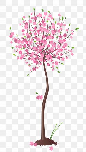 Spring Tree Blossom Clip Art, PNG, 5157x5974px, Tree, Autumn, Blossom ...