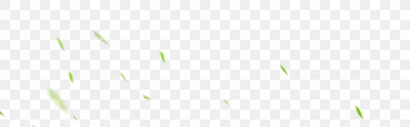Bamboo Leaf Png 19x599px Bamboo Close Up Computer Grass Grass Family Download Free