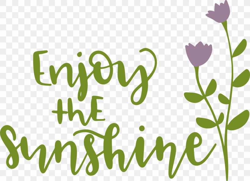 Sunshine Enjoy The Sunshine, PNG, 3000x2182px, Sunshine, Floral Design, Green, Leaf, Logo Download Free