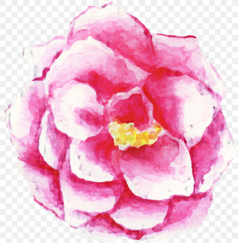 Watercolor Painting Rose Flower Drawing Japan, PNG, 1795x1832px, Watercolor Painting, Art, Artist Trading Cards, Bag, Camellia Download Free
