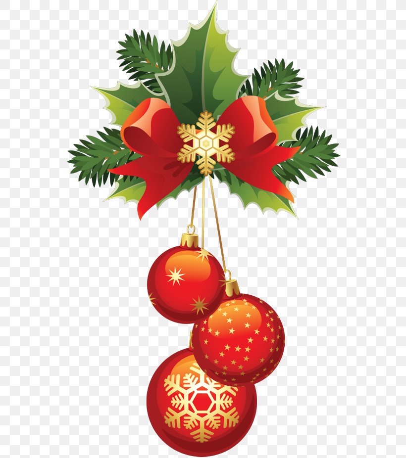 Christmas Ornament Christmas Decoration New Year Ded Moroz, PNG, 558x926px, Christmas Ornament, Christmas, Christmas Decoration, Christmas Tree, Conifer Download Free