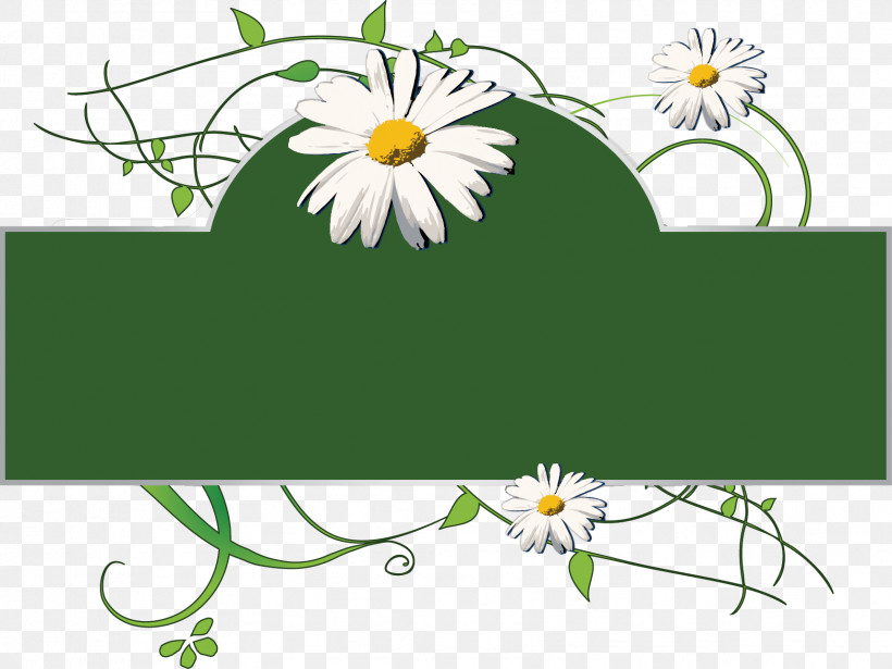 Daisies Frame Flower Frame Floral Frame, PNG, 1714x1287px, Daisies Frame, Camomile, Chamaemelum Nobile, Chamomile, Daisy Download Free