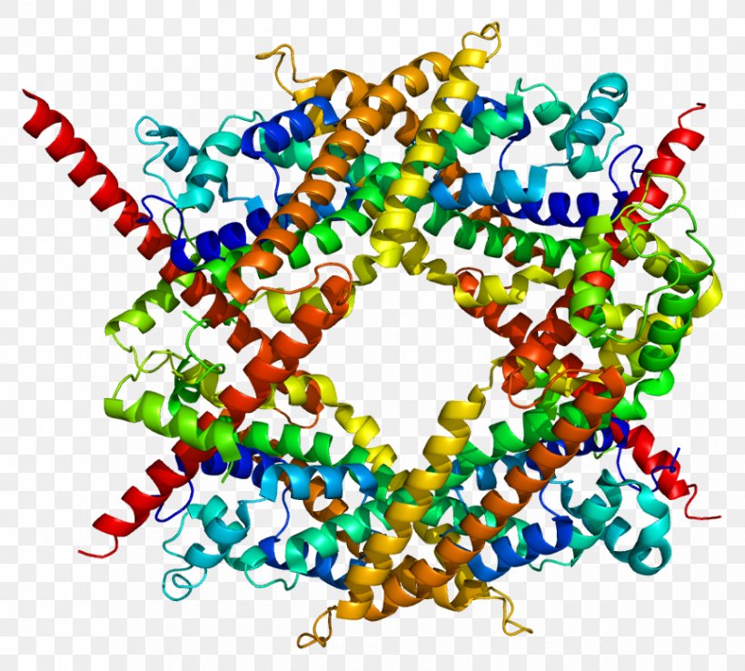 DIAPH1 Protein MDia1 Structure Gene, PNG, 863x777px, Watercolor, Cartoon, Flower, Frame, Heart Download Free