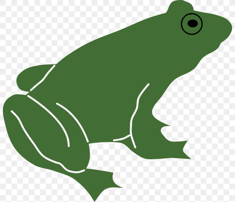 Frog Lithobates Clamitans Silhouette Clip Art, PNG, 800x704px, Frog, American Bullfrog, Amphibian, Australian Green Tree Frog, Fauna Download Free