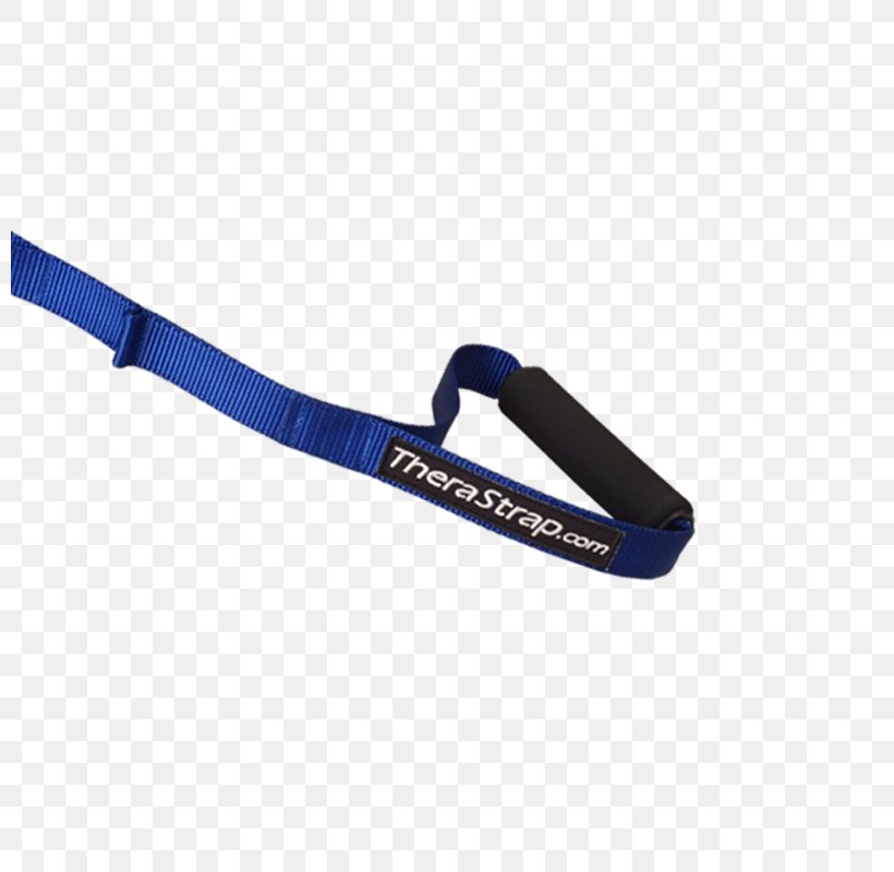 Leash Cobalt Blue Strap, PNG, 800x800px, Leash, Blue, Cobalt, Cobalt Blue, Fashion Accessory Download Free