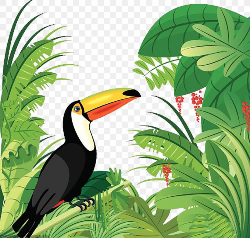 Amazon Rainforest Tropical Forest Bird Tropical Rainforest, PNG, 927x886px, Amazon Rainforest, Animation, Beak, Bird, Ecosystem Download Free