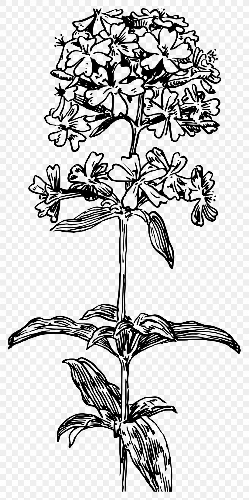 Floral Design Drawing Clip Art, PNG, 1195x2400px, Floral Design, Art, Artwork, Black And White, Branch Download Free