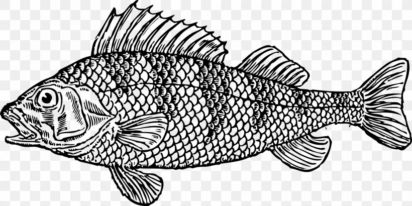 Goldfish Fish Scale Clip Art, PNG, 1920x962px, Goldfish, Animal Figure, Artwork, Black And White, Cod Download Free