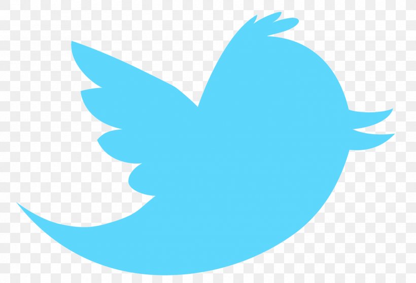 Logo Social Media, PNG, 1450x990px, Logo, Advertising, Aqua, Beak, Bird Download Free