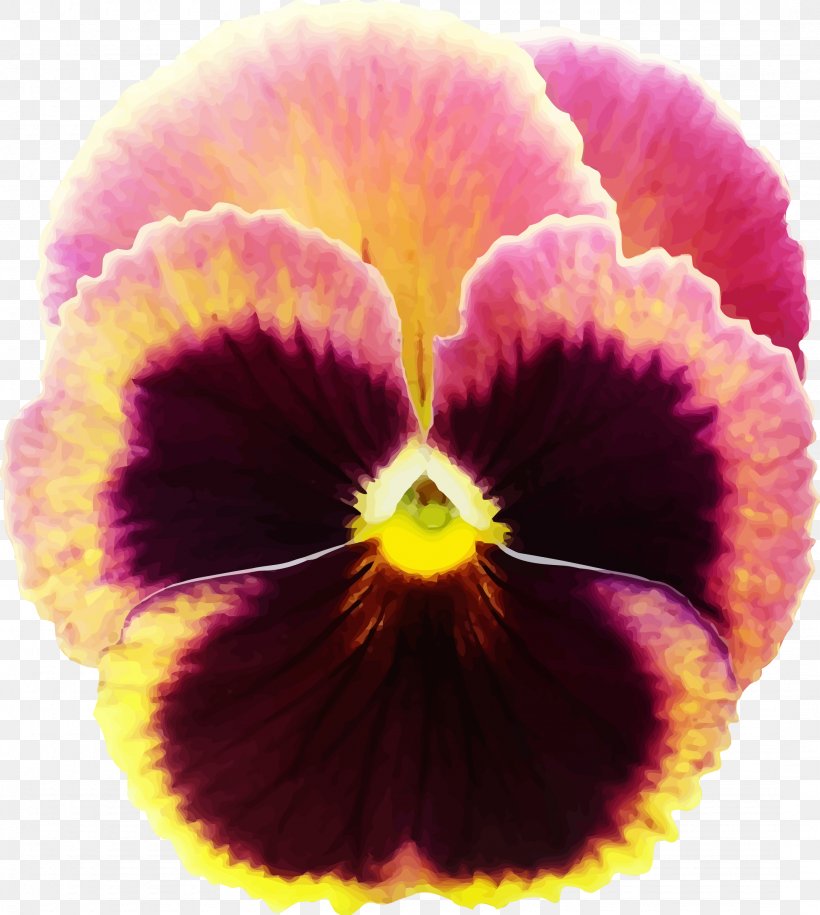 Pansy Clip Art Floral Design Openclipart Flower, PNG, 2150x2400px, Pansy, African Violets, Annual Plant, California Golden Violet, Close Up Download Free