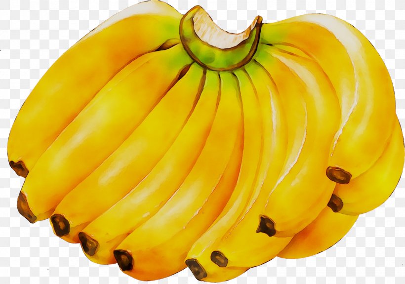 Cavendish Banana Image Clip Art, PNG, 1775x1246px, Banana, Banana Family, Calabaza, Cavendish Banana, Cooking Banana Download Free