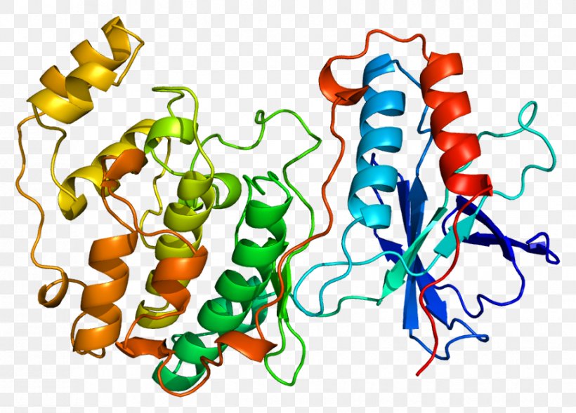 Biocybernetics Biology Biological System Biochemistry, PNG, 916x658px, Cybernetics, Area, Art, Artificial Neural Network, Artwork Download Free