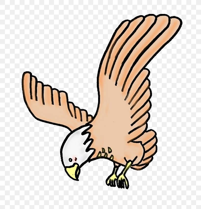 Hawk Eagle Clip Art Illustration Aquila, PNG, 800x856px, Hawk, Animal, Animal Figure, Aquila, Artwork Download Free