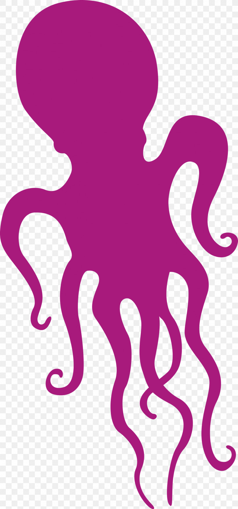 Octopus, PNG, 1406x2999px, Octopus, Biology, Geometry, Line, Mathematics Download Free