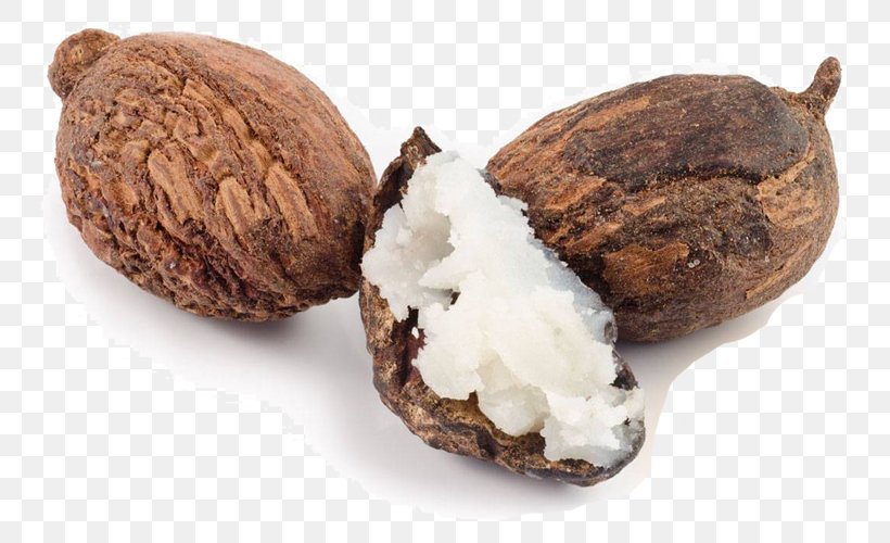 Shea Butter Vitellaria Nut Lotion, PNG, 767x500px, Shea Butter, Butter, Commodity, Cosmetics, Dermatitis Download Free