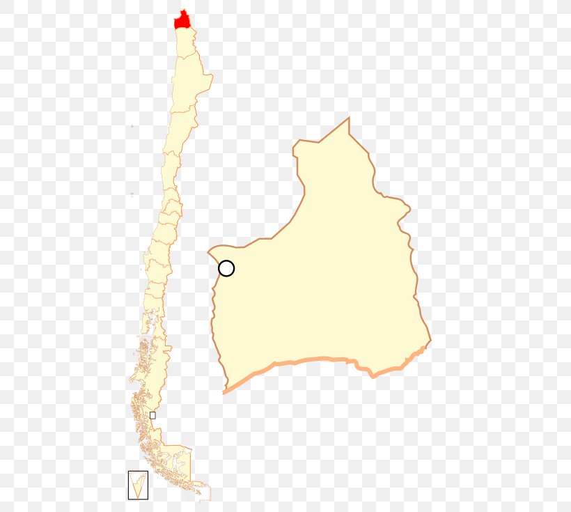 Arica Parinacota, Chile Regions Of Chile Coquimbo Region Araucanía Region, PNG, 490x735px, Arica, Area, Chile, Coquimbo Region, Ecoregion Download Free