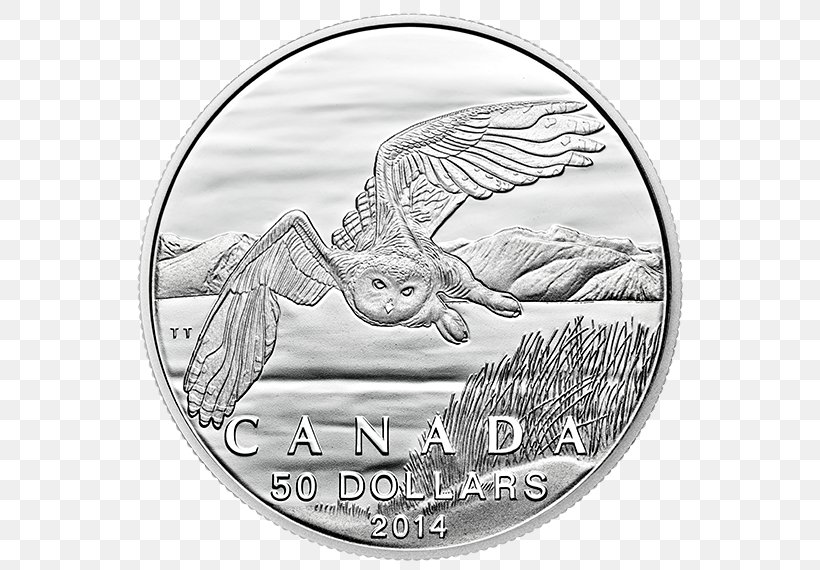Canada Owl Silver Coin, PNG, 570x570px, Canada, Bird, Black And White, Canada Goose, Canadian Dollar Download Free