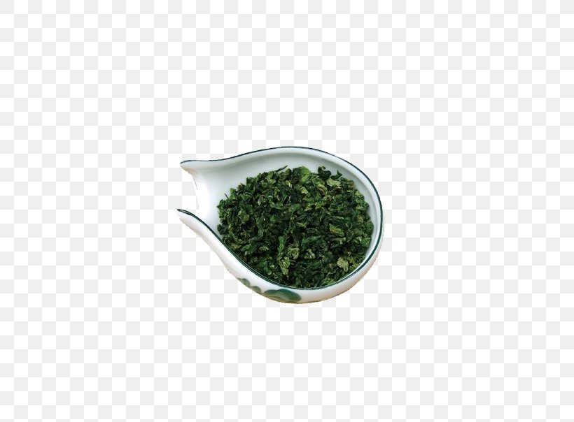 Green Tea Tieguanyin Oolong Huangshan Maofeng, PNG, 604x604px, Tea, Anxi County, Aonori, Black Tea, Camellia Sinensis Download Free