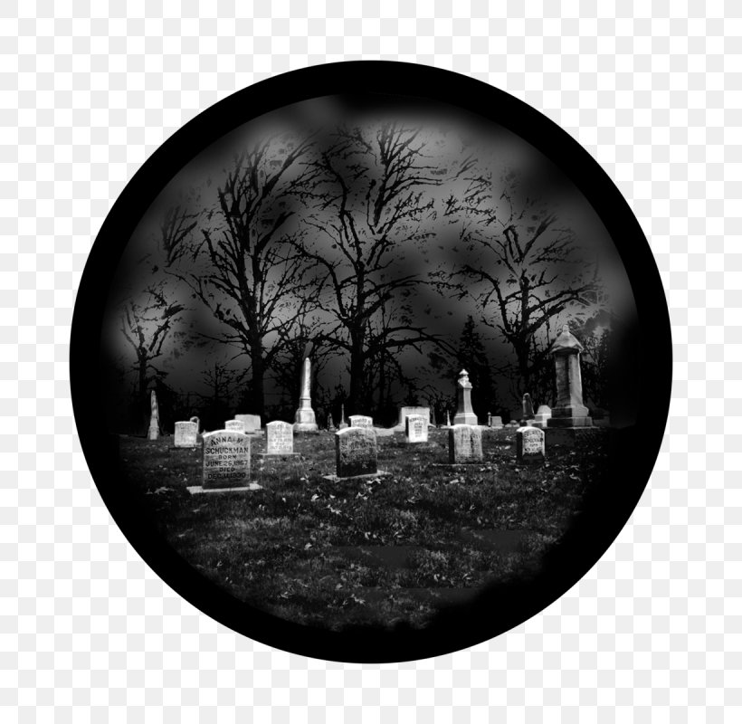 Plate Dishware Black-and-white Branch Cemetery, PNG, 800x800px, Plate, Blackandwhite, Branch, Cemetery, Dishware Download Free