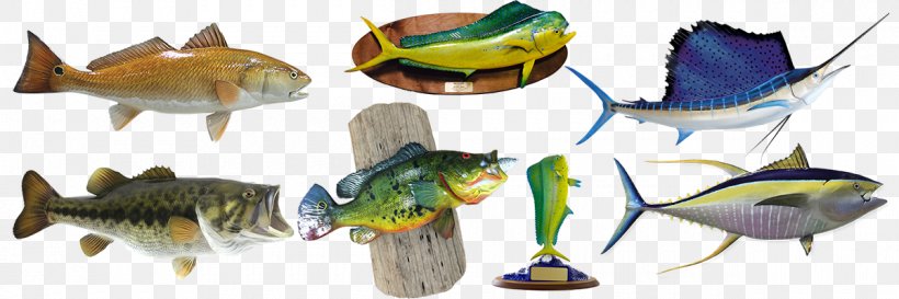 Fauna Animal Fish, PNG, 1200x400px, Fauna, Animal, Animal Figure, Fish, Organism Download Free