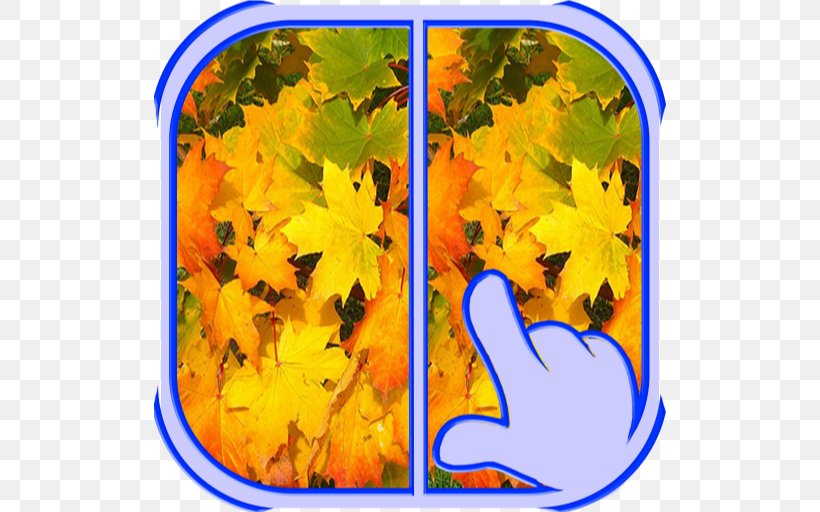 Maple Leaf Autumn Leaf Color Yellow, PNG, 512x512px, Maple Leaf, Autumn, Autumn Leaf Color, Book, Color Download Free