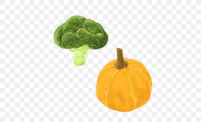 Pumpkin Vegetable Oil Broccoli Food, PNG, 500x500px, Pumpkin, Broccoli, Cauliflower, Celery, Cooking Download Free