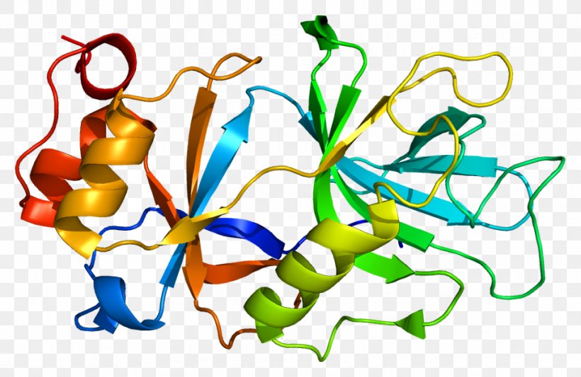 SPN1 Gene Protein SnRNP Wikipedia, PNG, 957x623px, Watercolor, Cartoon, Flower, Frame, Heart Download Free