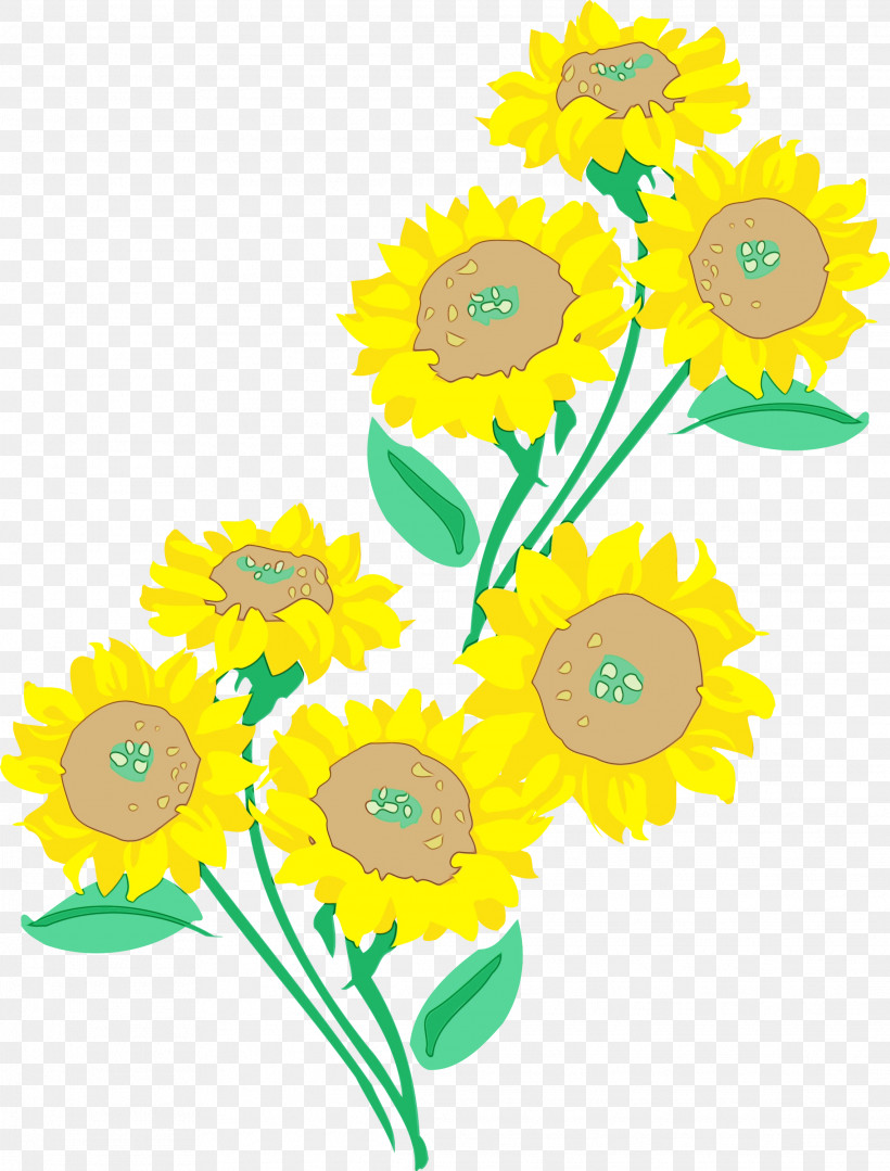 Sunflower, PNG, 2278x2999px, Sunflower, Cartoon, Chamomile, Cut Flowers, Flower Download Free