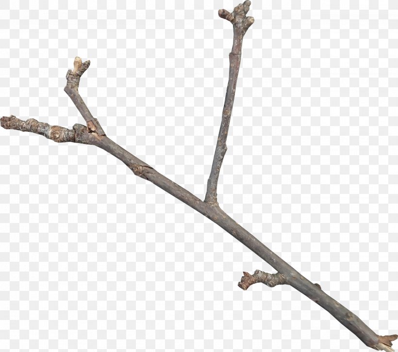 Twig Download Icon, PNG, 2709x2400px, Branch, Data Compression, Diagonal, Leaf, Product Download Free