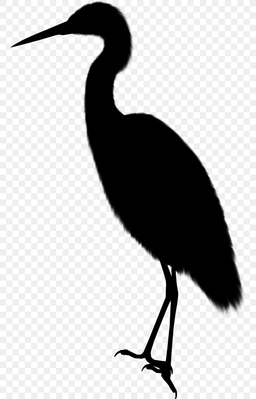 Ibis Water Bird Beak Stork, PNG, 753x1280px, Ibis, Beak, Bird, Crane, Cranelike Bird Download Free