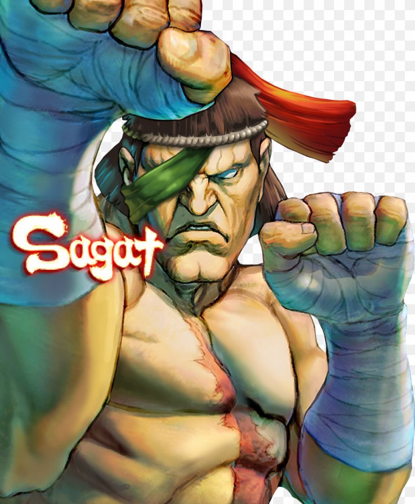 Super Street Fighter IV Street Fighter II: The World Warrior Street Fighter V Sagat, PNG, 1024x1242px, Watercolor, Cartoon, Flower, Frame, Heart Download Free