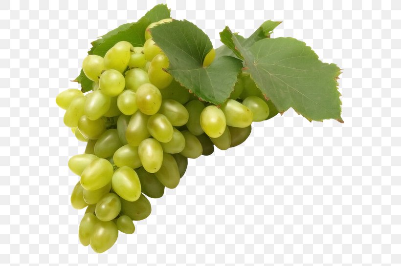 Common Grape Vine Juice Fruit Must, PNG, 600x545px, Common Grape Vine, Aroma, Berry, Bilberry, Food Download Free