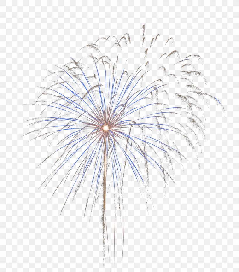 Consumer Fireworks, PNG, 1044x1187px, Fireworks, Consumer Fireworks, Firecracker, Flower, Freebies Fireworks Download Free