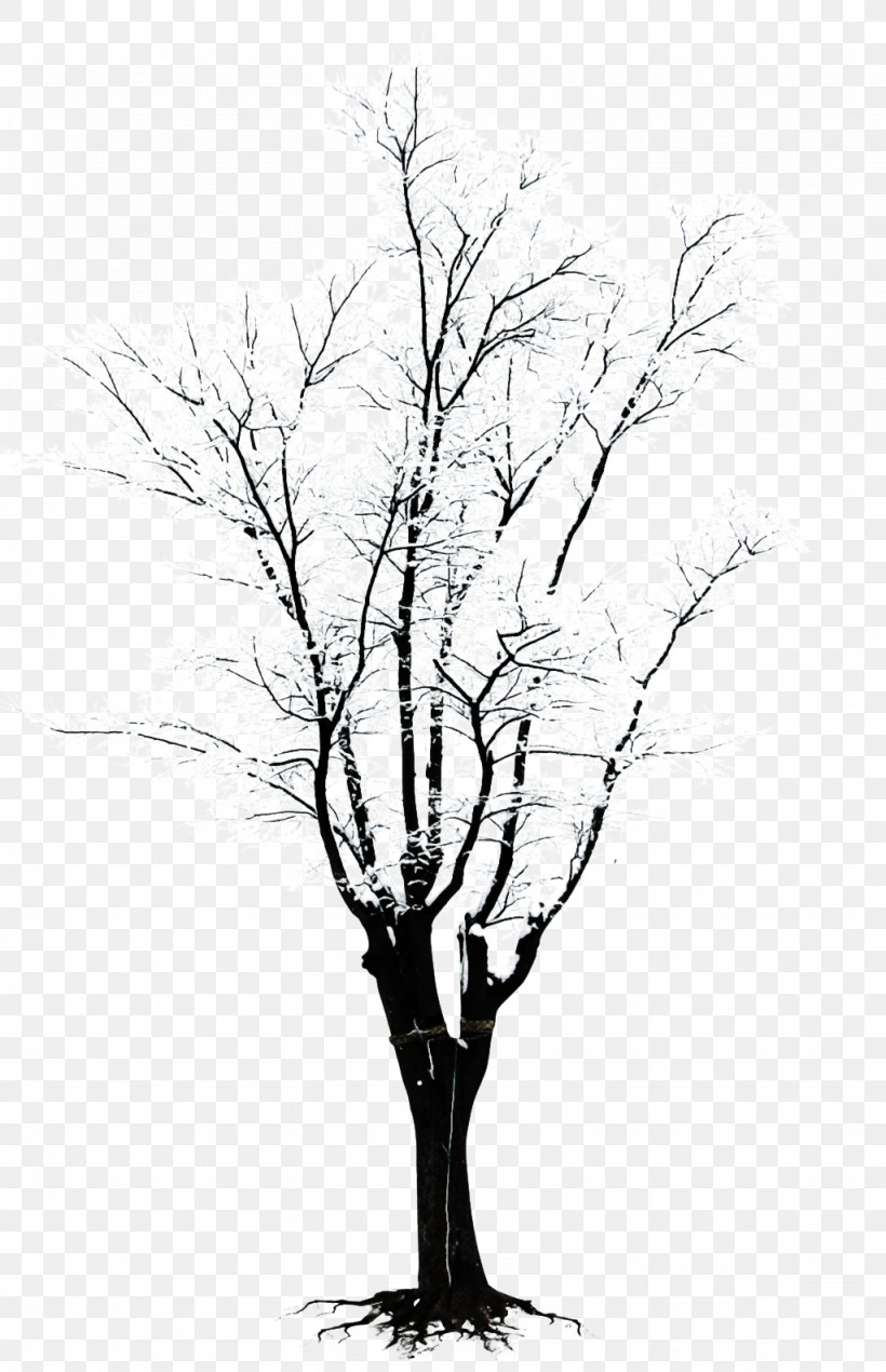 Tree Branch Woody Plant Plant Twig, PNG, 1024x1587px, Tree, Blackandwhite, Branch, Drawing, Line Art Download Free