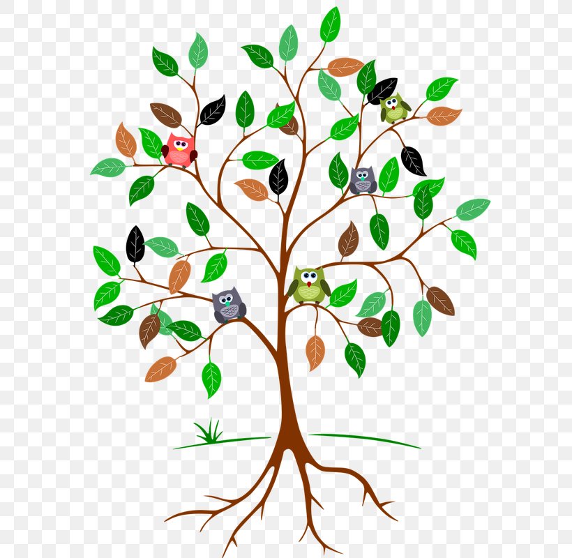 Clip Art Root Tree Openclipart, PNG, 600x800px, Root, Artwork, Branch, Flora, Flower Download Free
