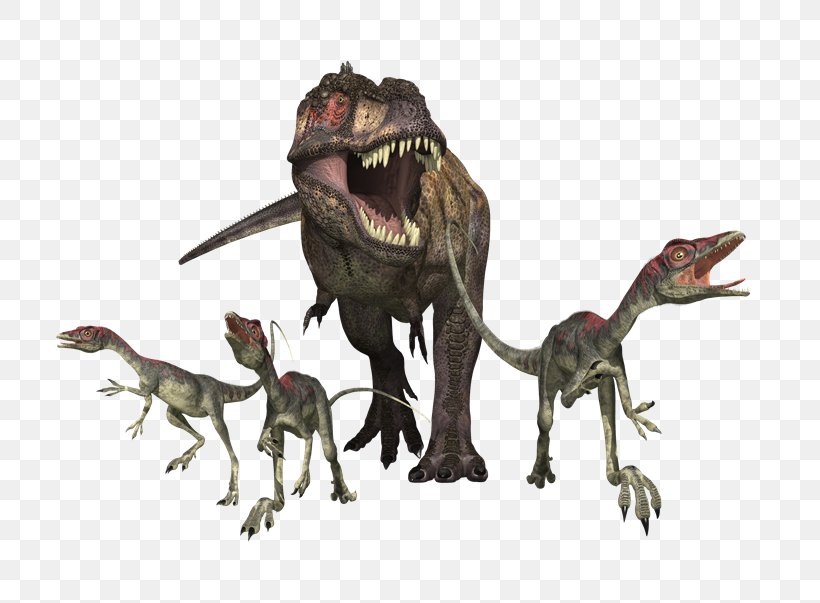 Tyrannosaurus Velociraptor Gallimimus Albertosaurus Dinosaur, PNG, 800x603px, Tyrannosaurus, Albertosaurus, Animal Figure, Coelurosauria, Dinosaur Download Free