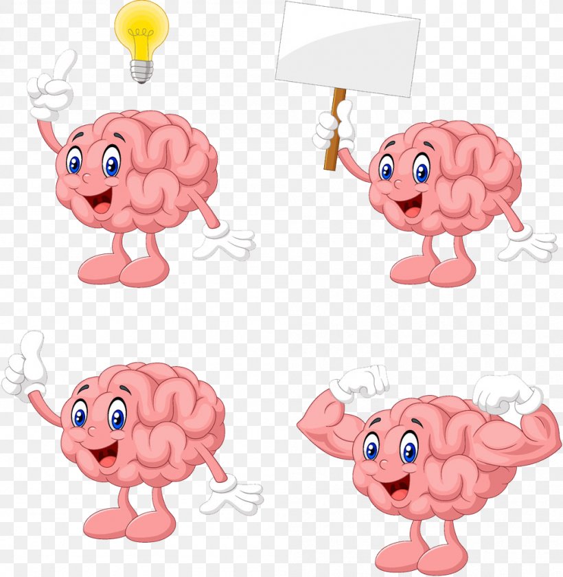 Brain Cerebrum Euclidean Vector Illustration, PNG, 999x1024px, Watercolor, Cartoon, Flower, Frame, Heart Download Free