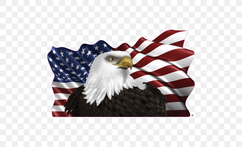 Car United States Of America Decal Campervans Semi-trailer Truck, PNG, 500x500px, Car, Accipitriformes, Bald Eagle, Beak, Bird Download Free