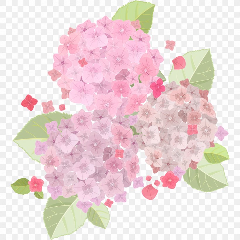 French Hydrangea Pink Flowers Pink Flowers, PNG, 905x905px, French Hydrangea, Blossom, Color, Cornales, Cut Flowers Download Free