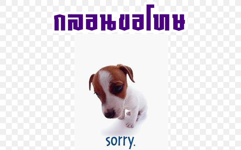 Sadness Desktop Wallpaper Quotation, PNG, 512x512px, Sadness, Carnivoran, Companion Dog, Dog, Dog Breed Download Free