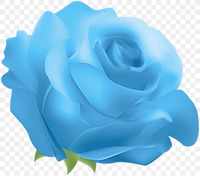 Blue Rose, PNG, 3000x2641px, Rose, Blue, Blue Rose, Flower, Garden Roses Download Free