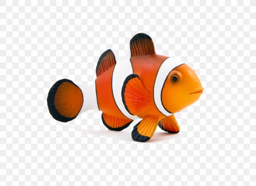 Clydesdale Horse Ocellaris Clownfish Toy, PNG, 3543x2572px, Clydesdale Horse, Animal, Animal Figurine, Aquarium, Aquatic Animal Download Free