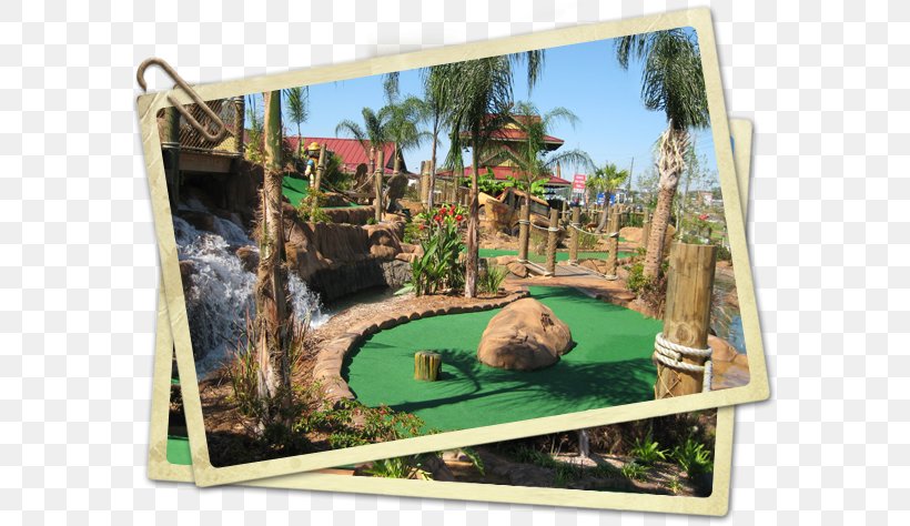 Congo River Golf Tampa Miniature Golf Golf Course, PNG, 582x474px, Tampa, Clearwater, Congo River, Golf, Golf Course Download Free